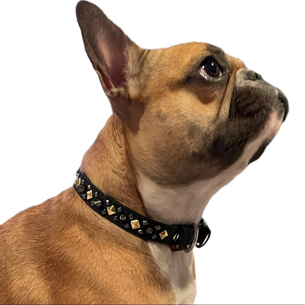 This is Sparta! Collar